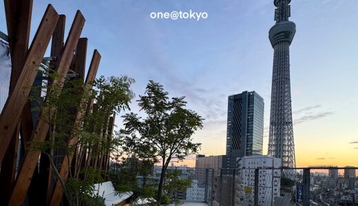 【木組みとインダストリアルによる新しい下町のホテル】ONE@Tokyo / 隈研吾