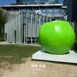 【公園の自然と調和する対比的な２つのキューブが特徴的な文化施設】VS. / 安藤忠雄