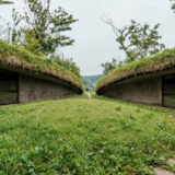 【地中図書館】植物や生物と共生する、地中にできた洞窟のような図書館。